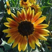Mandy DeRuyter's photo