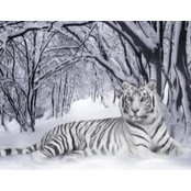 Janice Spencer's photo