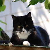 Foto von Silke Kämpfer