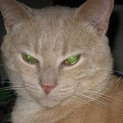 D Ketron-Hamilton's photo