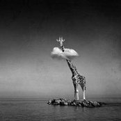 Carla Cucchiarelli's photo