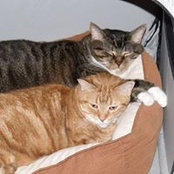 Sue Jenner's photo