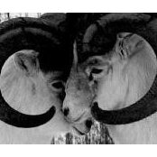 Erin Guest's photo