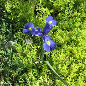 Foto von Suzie Woods