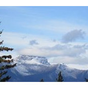 Helene Tremblay's photo
