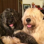 Stephen Tresco's photo