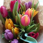 Emma Zeck's photo