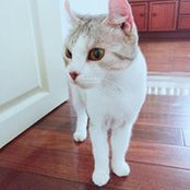 Naomi Lee's photo