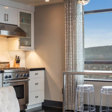 San Jose~ Contemporary High Rise Renovation