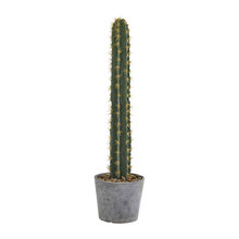 Faux Plants