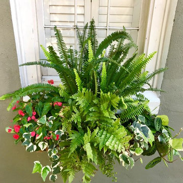Southern Window Boxes