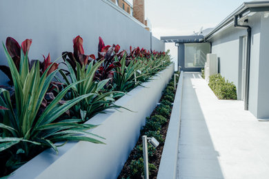 Photo of a modern garden in Sydney.