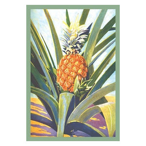 Kitchen Pineapple Fruit Food Art Print - Tropical - Prints And Posters