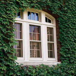 Windows - Windows