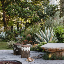 Landscape Ideas