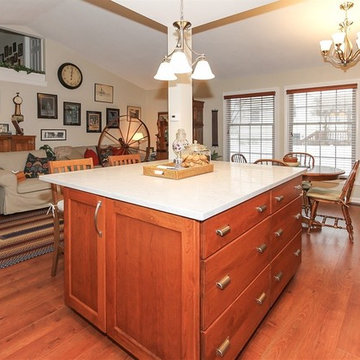 Kitchen Remodeling in a Split Level Home in Bartlett IL for Jim and Eliot K