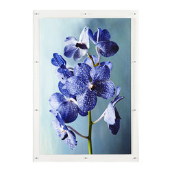ORCHID WALL ART &ndash; STEM - NEW - Wall Decor