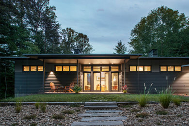 Contemporary black one-story exterior home idea in Other