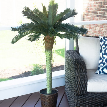 Tropical Palm in Wicker Woven Planter