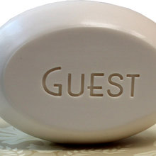 guest bath