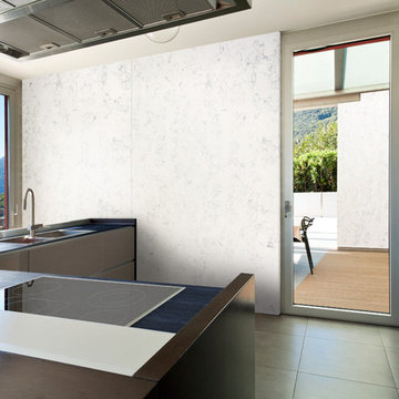Corian® Elderberry with Corian® Quartz Névé