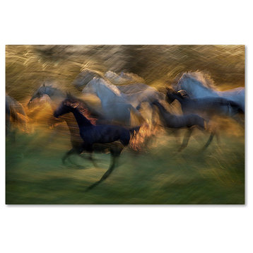 Milan Malovrh 'Fiery Gallop' Canvas Art, 30x47