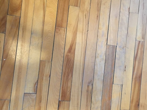 Do I Have Maple Or Birch Floors, Birch Wood Flooring Pros And Cons