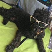 Amanda Palumbo's photo
