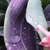 KaliN'Mike Evans's photo