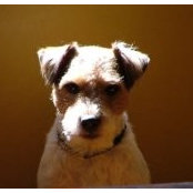 Buster Jacks foto