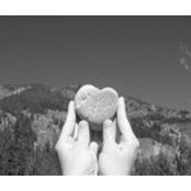 Colleen Coyne's photo