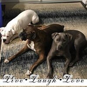 Clinton Somrek's photo