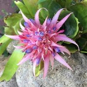 Lyn Keetch's photo