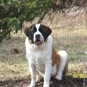 Susan Philpott's photo