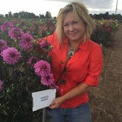 Debbie Bartlett's photo
