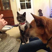 Lorna Cleggett's photo