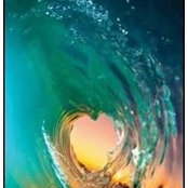 Suzy Goheen's photo