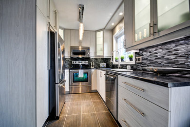Kitchen - contemporary kitchen idea in Ottawa