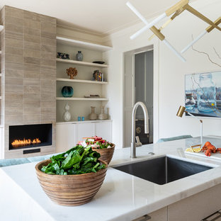 75 Beautiful Midcentury Modern Kitchen Pantry Pictures Ideas Houzz