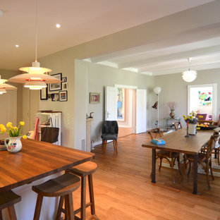 ブレーメンの広いコンテンポラリースタイルのLDKの画像 (緑の壁、淡色無垢フローリング)