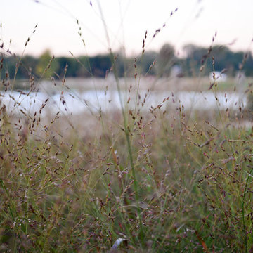 Lakeside Rustic Landscape