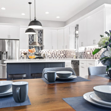 A Sleek, Modern Chicago Kitchen