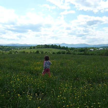 Far Hill Inspiration