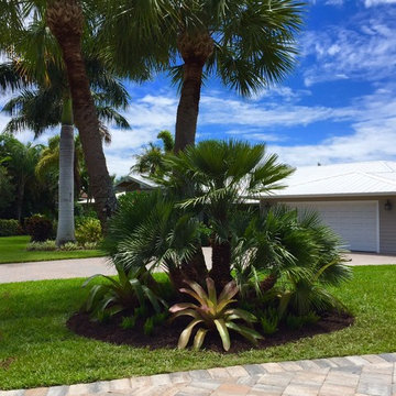 Tropical front & backyard landscapes....Palms & Color