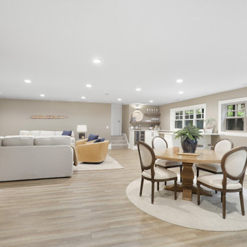 Excelsior - lower level remodel