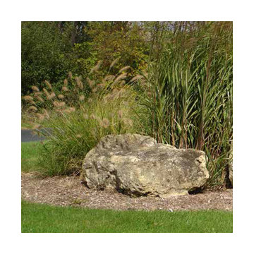 Gardens, Perennials, Shrubs & Trees