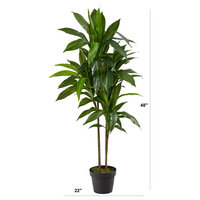 48" Dracaena Silk Plant, Real Touch