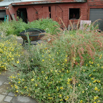 Italianate Style B Street Water Wise & Vegetable Garden