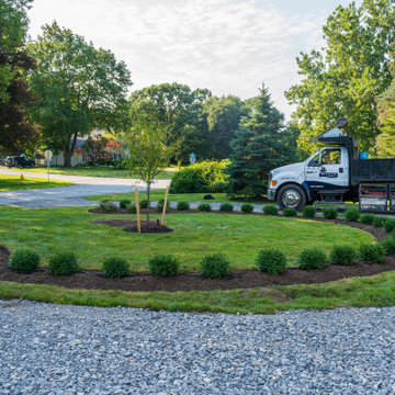 Front Yard Landscaping Design, Walkway and Lighting