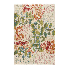 In Door Rugs